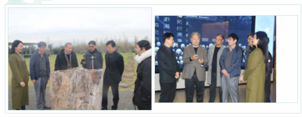 义乌柔性引进海外院士 信息技术咨询服务再添高端智库